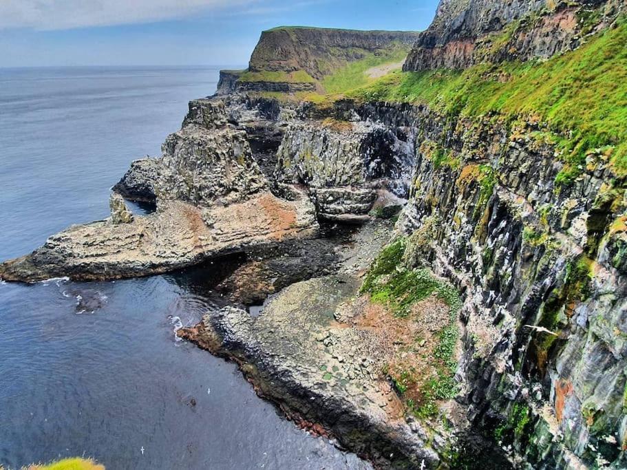 Cushendall Stables エクステリア 写真